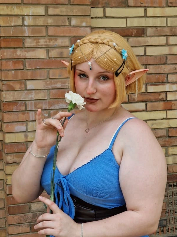 Zelda (The Legend Of Zelda) 
