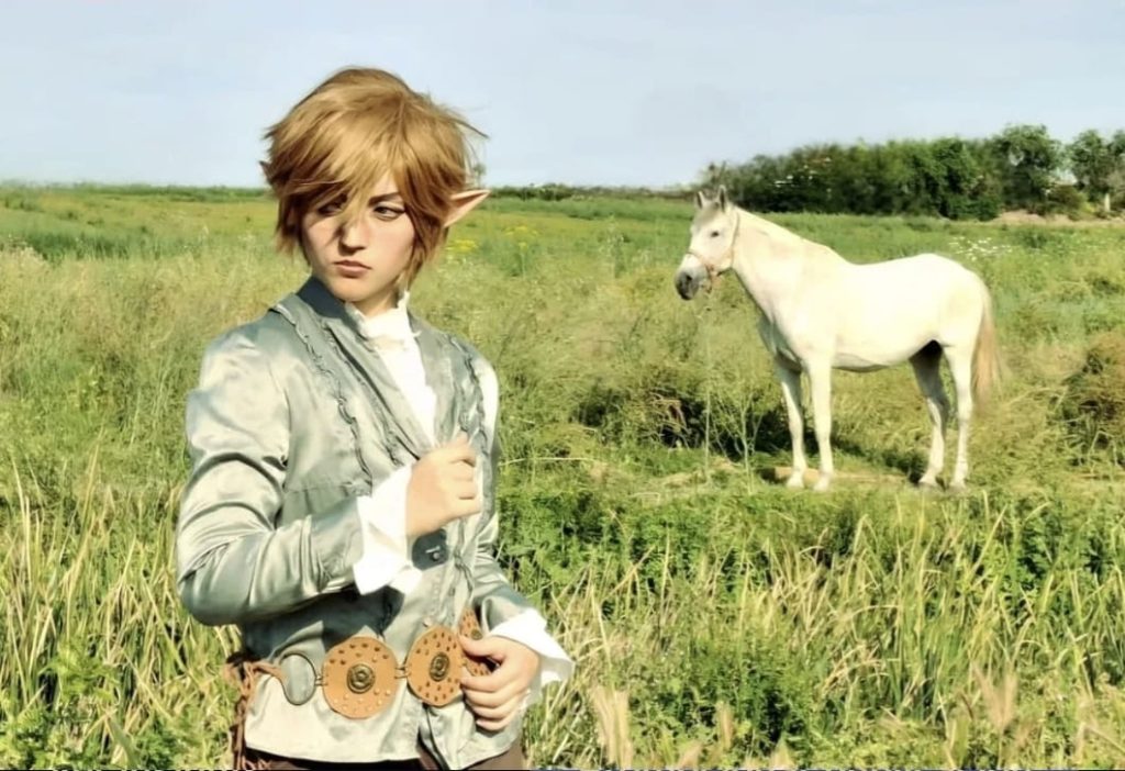 Link (The Legend of Zelda)