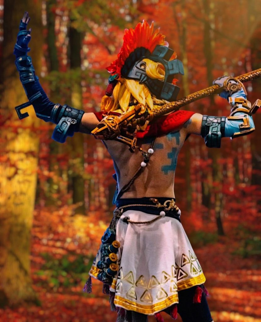 Link Skin Zonnanio (The Legend of Zelda: Tears of the Kingdom)